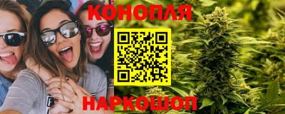хмурый Бийск