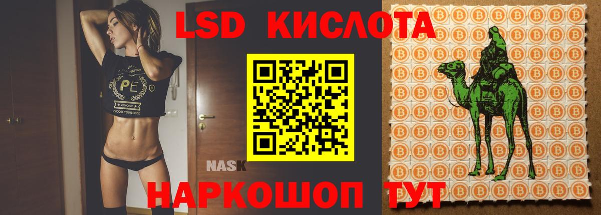 МЕГА как зайти  Вход с VPN  LSD-25 экстази  Ковров  Лсд 25 экстази ecstasy 