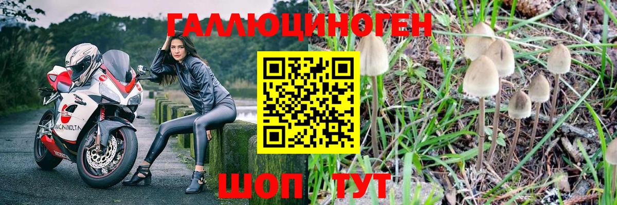 Псилоцибиновые грибы Magic Shrooms  Вход с VPN  Ковров  дарнет шоп  Псилоцибиновые грибы ЛСД 